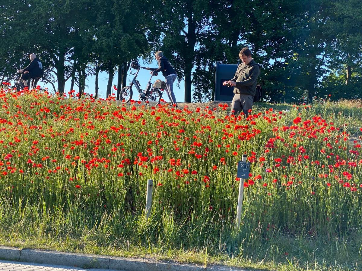 Fewo Tini Am Strandzugang Mit Wlan Inklusive, Keine Haustiere Zingst Dış mekan fotoğraf